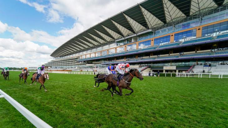 PROG | O Melhor Site de Prognósticos de Corridas de Cavalos na Inglaterra